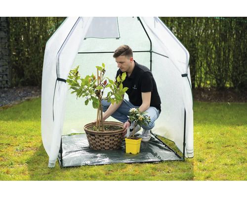 Gewächshaus mit Mann und Pflanzen in Töpfen im Garten.