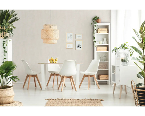 Heller Essbereich mit Esstisch, Stühlen, Regalen und dekorativen Pflanzen