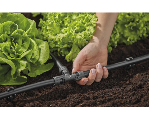 Tropfbewässerungssystem mit T-Stück für Pflanzen im Garten