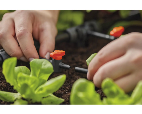 Installation eines Bewässerungssystems im Gartenbeet zur Pflanzenbewässerung