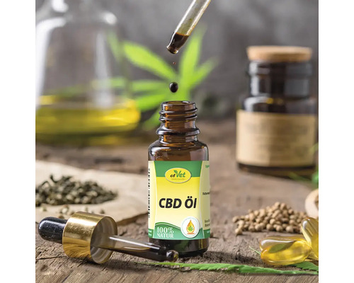 CBD Öl Flasche mit Pipette und natürlichen Inhaltsstoffen