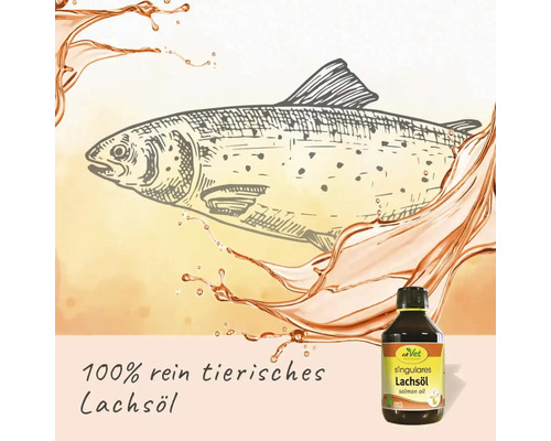 Illustration eines Fisches und Flasche mit Lachsöl für Tiere