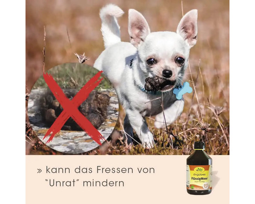 Ein kleiner Hund mit Kot im Maul und eine Flasche flüssiges Ergänzungsfuttermittel für Hunde zur Reduzierung der Aufnahme von Unrat.