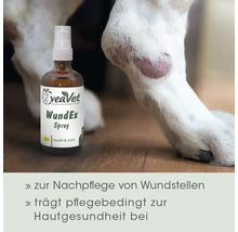 VeaVet WundEx Spray zur Pflege von Wunden bei Tieren