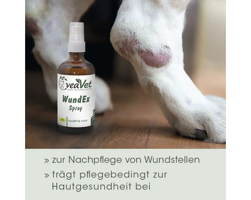 VeaVet WundEx Spray zur Pflege von Wunden bei Tieren