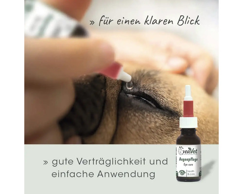 YeaVet Augenpflege wird einem Hund verabreicht