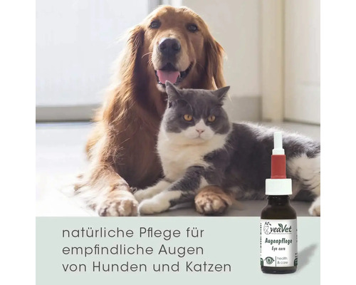 Augenpflege für Hunde und Katzen mit Hund und Katze im Hintergrund