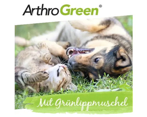 ArthroGreen Produktbild mit Hund und Katze auf einer Wiese. Aufschrift: Mit Grünlippmuschel.