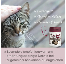 Eine Hand streichelt eine Katze neben einer Dose FeliTatz Senior für Katzen