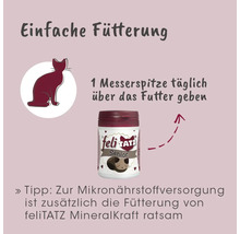 feliTATZ Senior Ergänzungsfuttermittel für Katzen
