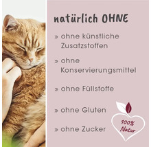 Katze wird gestreichelt, Hinweis auf das Produkt frei von künstlichen Zusatzstoffen, Konservierungsmitteln, Füllstoffen, Gluten und Zucker.