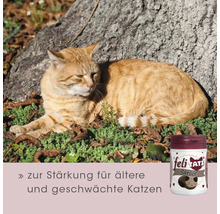 Liegende Katze neben Katzensnack für ältere und geschwächte Katzen