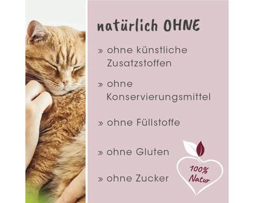 "Katze wird gestreichelt