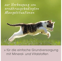 Springende Katze zur Vorbeugung von ernährungsbedingten Mangelerscheinungen. Für die einfache Grundversorgung mit Mineralien und Nährstoffen.