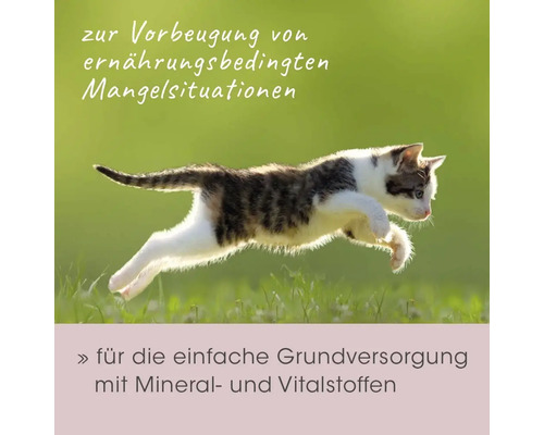 Springende Katze zur Vorbeugung von ernährungsbedingten Mangelerscheinungen. Für die einfache Grundversorgung mit Mineralien und Nährstoffen.