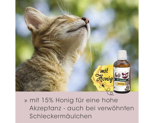Katze und eine Flasche FeliTATZ Bronchialmittel mit Honig