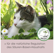 Katze liegt im Gras mit HuminoMin Komplex Logo