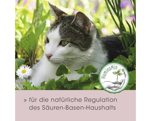 Katze liegt im Gras mit HuminoMin Komplex Logo