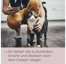 Katze wird mit einer Futterschale gefüttert