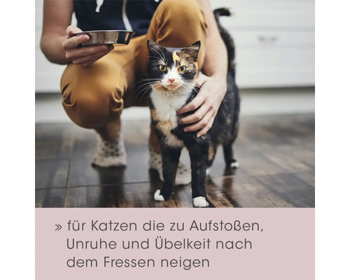 Katze wird mit einer Futterschale gefüttert