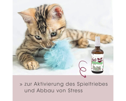 Katze spielt mit Spielzeug neben Felimatz Katzenspray zur Aktivierung des Spieltriebs