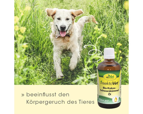 Hund im Gras mit cdVet InsektoVet Bio Kokos Schwarzkümmel Öl