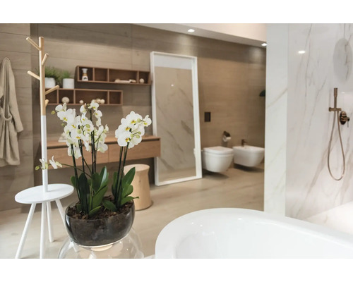 Badezimmer mit Badewanne, Toilette, Bidet, Waschtisch, Spiegel, Regal und Dekoration