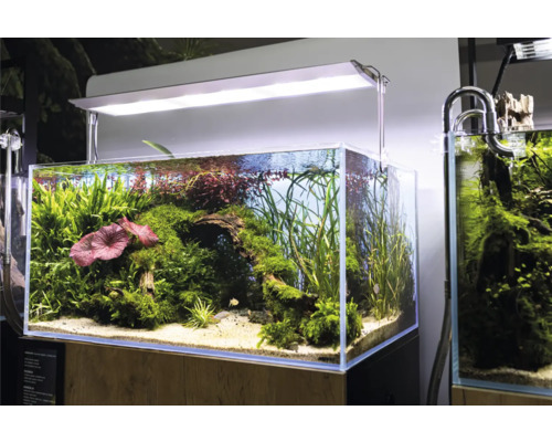 Aquarium Aquael inkl. Beleuchtung 90 x 60 x 45 cm