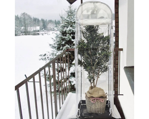Pflanze in einem Pflanzgefäß mit Winterschutz auf einem Balkon im Winter