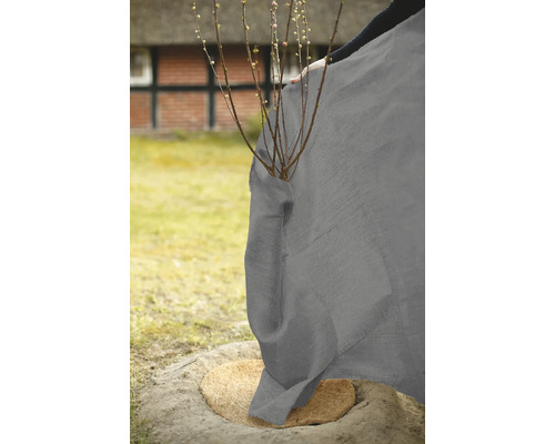 Pflanzenschutzhaube schützt junge Pflanze im Garten.