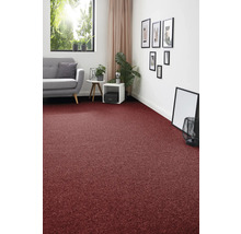 Wohnzimmer mit rotem Teppichboden, Sofa, Tisch und Dekorationen für eine gemütliche Atmosphäre