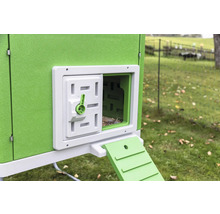 Detailansicht eines Hühnerstalls mit geöffneter Tür und Rampe