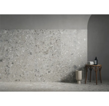 Feinsteinzeug Bodenfliese Hedon 59,8x59,8 cm grau matt rektifiziert