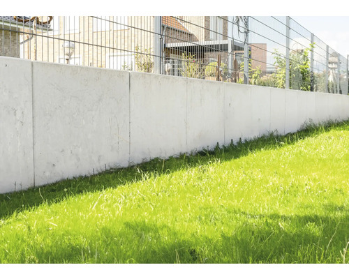 Betonmauer mit Zaun und Rasen im Garten