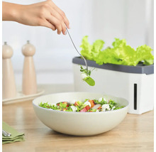 Zimmer-Gewächshaus Harry Herbs weiß mit Deckel-thumb-7 Zimmer-Gewächshaus Harry Herbs weiß mit Deckel-thumb-7