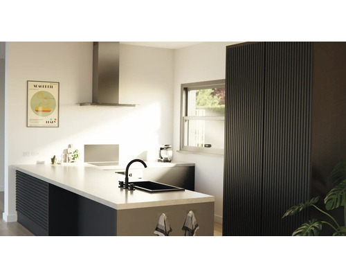 Küchenansicht mit Kücheninsel, Spüle, Dunstabzugshaube und Schrank