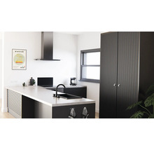 Moderne Küche mit Kochinsel, Dunstabzugshaube und Schrank