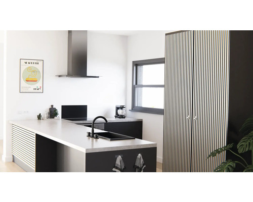 Moderne Küche mit Kücheninsel, Dunstabzugshaube und Vorratsschrank