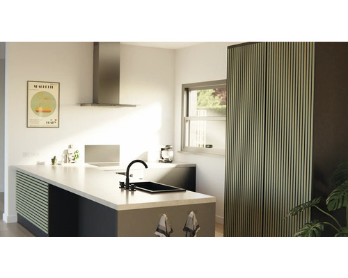 Helle Küche mit Kücheninsel, Spüle, Dunstabzugshaube und Schrank