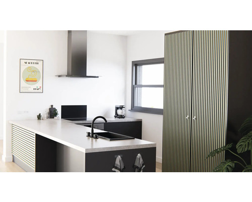 Moderne Küche mit Kochinsel, Dunstabzugshaube und Hochschrank