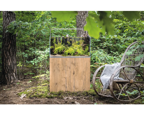 Aquarium mit Unterschrank im Wald