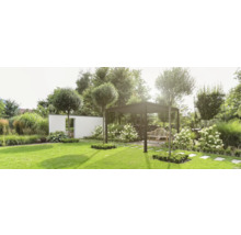 Gestalteter Garten mit Rasenfläche, Pflanzen und Pavillon