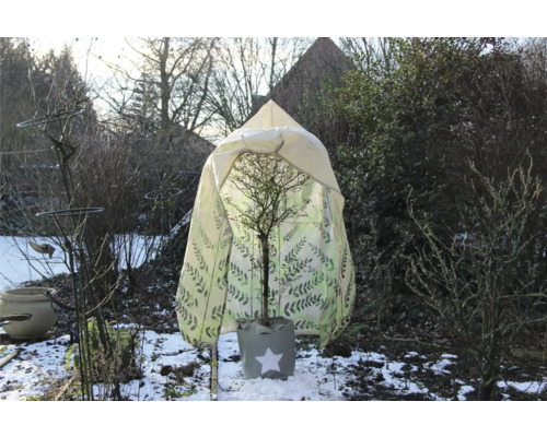 Winterszene mit Pflanze unter Schutzhülle im Garten