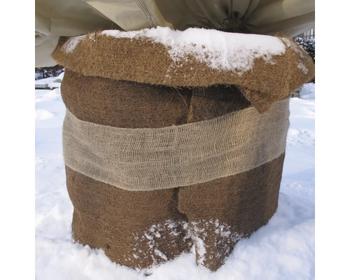 Eingewickelte Pflanze im Winter zum Schutz vor Kälte und Schnee