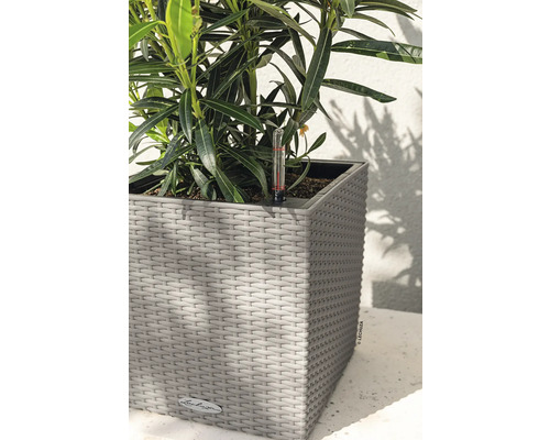 Pflanze in einem Lechuza Pflanzgefäß mit Feuchtigkeitsmesser