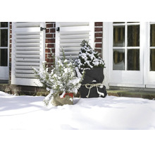 Winterliche Gartendekoration mit Pflanzen in Säcken vor dem Haus