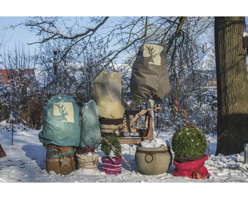 Winterlandschaft mit verschiedenen Pflanzen in Töpfen, einige mit Winterschutzhüllen versehen