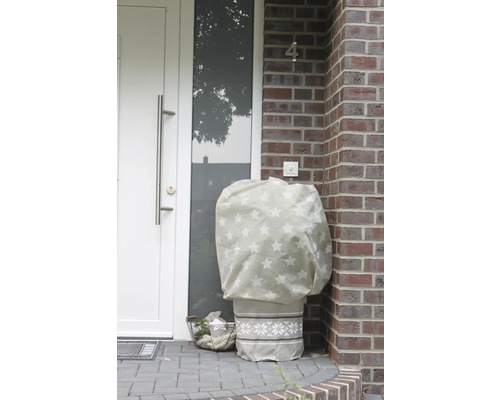 Eingangsbereich mit Pflanztopf und Winterschutzhaube mit Sternenmuster