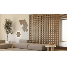 Fjordwall Akustikpaneel Hexagon Eiche 10x265x265 mm 1 Pack = 3 Stück-thumb-5 Fjordwall Akustikpaneel Hexagon Eiche 10x265x265 mm 1 Pack = 3 Stück-thumb-5