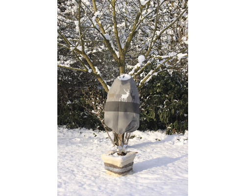 Pflanze mit Winterschutzhaube im Garten im Schnee